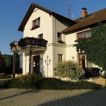 Villa Zerotin Penzion Bed & Breakfast Велке Лосіни Екстер'єр фото