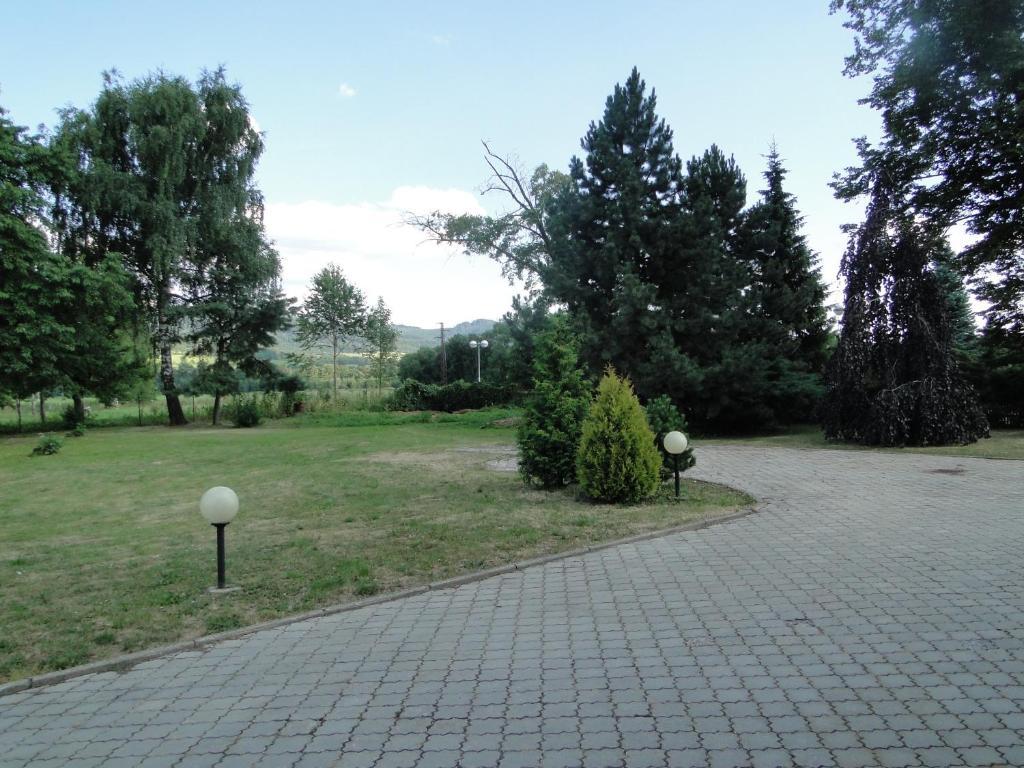 Villa Zerotin Penzion Bed & Breakfast Велке Лосіни Екстер'єр фото