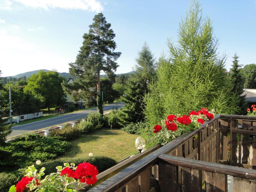 Villa Zerotin Penzion Bed & Breakfast Велке Лосіни Екстер'єр фото