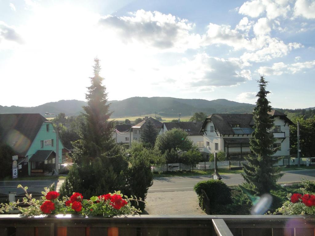 Villa Zerotin Penzion Bed & Breakfast Велке Лосіни Екстер'єр фото
